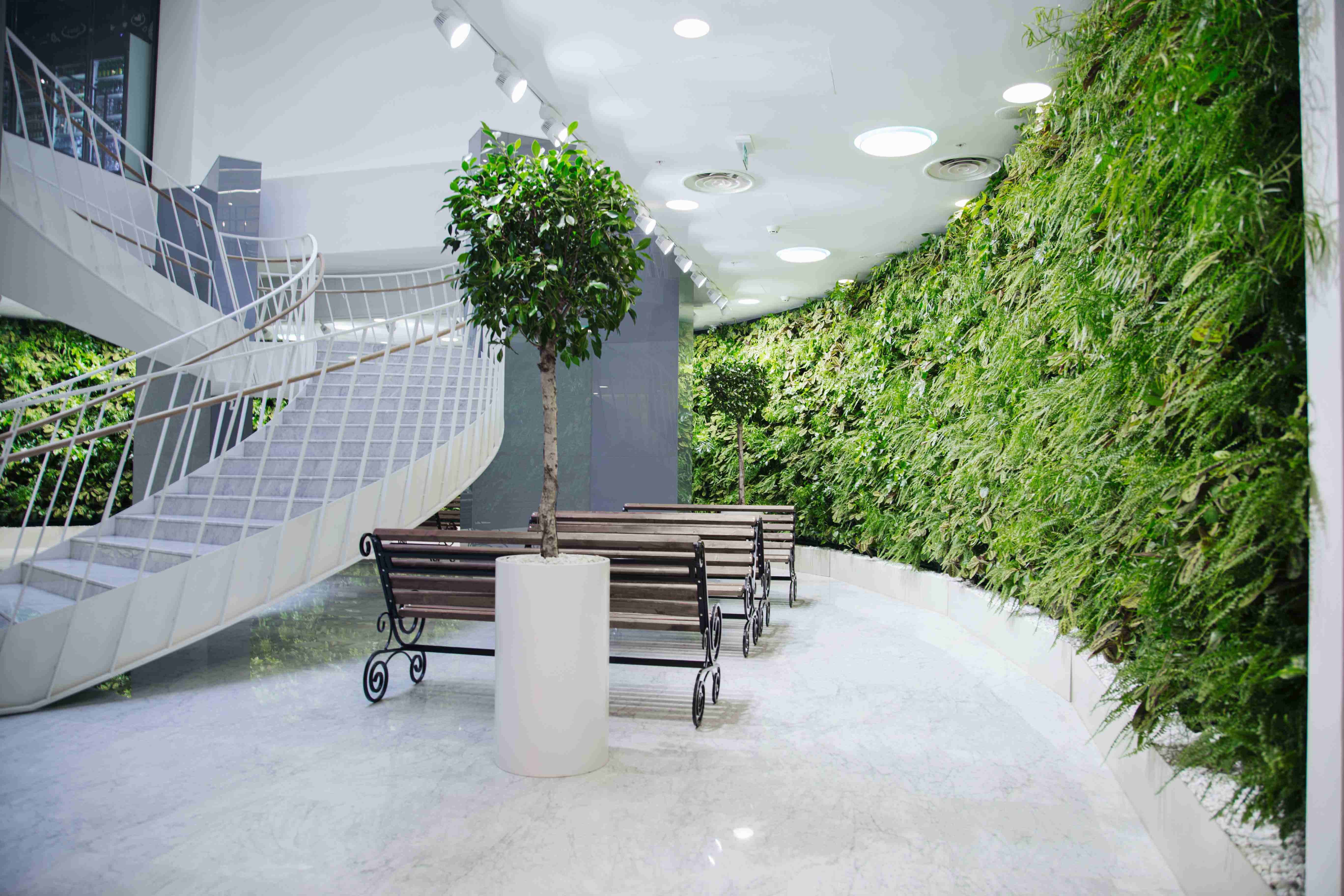 Озеленение бизнес центра искусственными растениями OBCG11