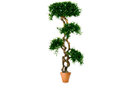 Искусственное растение Подокарпус топиарий 