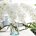 Искусственный цветок Орхидея белая 96 