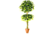 Искусственное растение Фикус бенджамина топиарий двойной