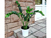 Искусственное растение Замиокулькас 90 cm.