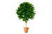 Искусственное дерево Кипарис топиарий малый