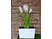 Композиция из искусственной травы Картадерия 100 в горшке из пластика Modern Werbena white
