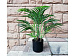 Искусственное растение Areca Palm 45