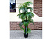 Искусственное дерево Пальма Арека 190 