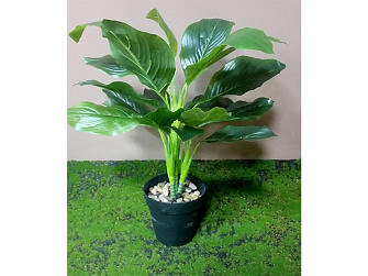 Искусственное растение Калатея Лосенери 45 