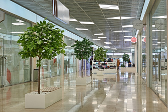 Озеленение торгового центра искусственными растениями OTCG5