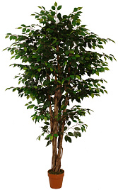 Искусственное дерево Фикус бенджамина FG014