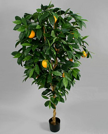 Искусственное дерево Апельсин