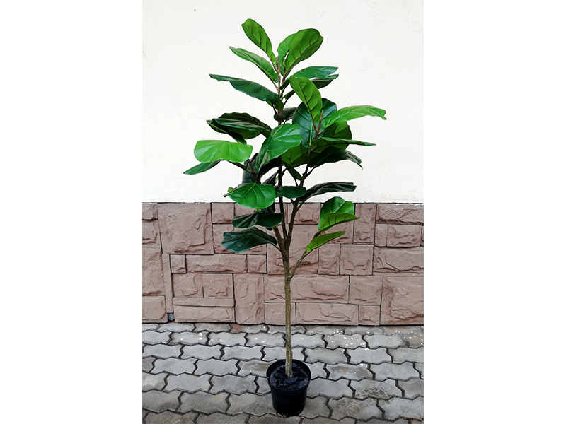 Искусственное растение Ficus Лирата 155 cm. 