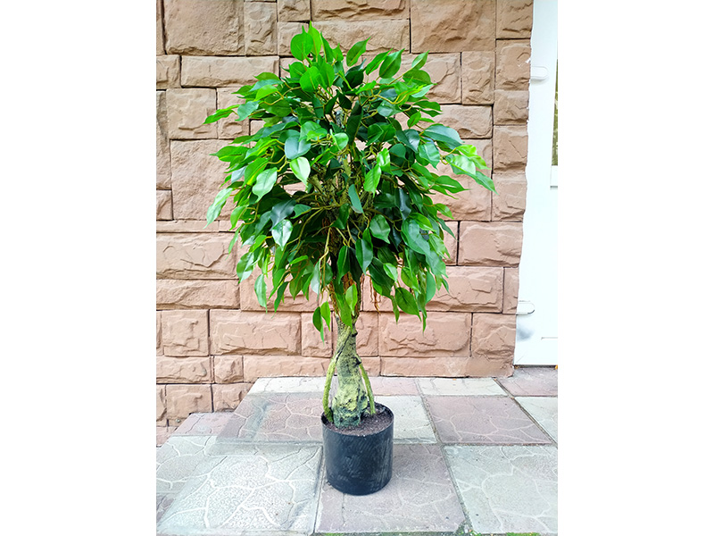 Искусственное растение Ficus 90 