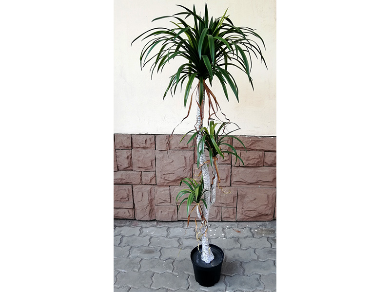Искусственное растение Драцена 170 cm.