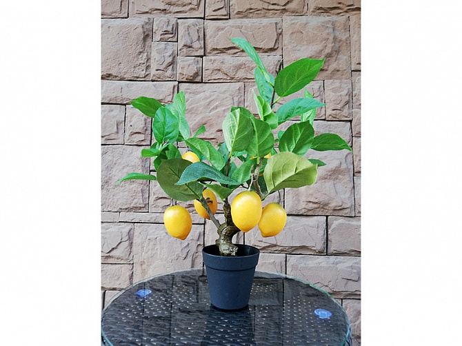Аоенда искусственного растения Лимонное дерево 55