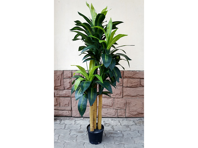 Искусственное растение Драцена 150 cm.