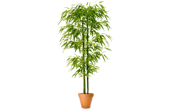 Искусственное растение Бамбук средний