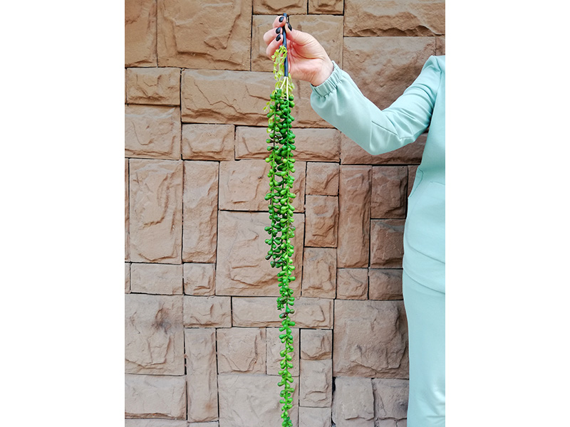 Искусственная ампельная ветка зелени Амарант 73 см. BN10722
