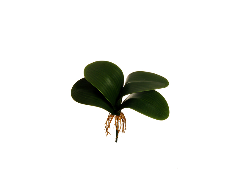 Искусственные листья Орхидеи