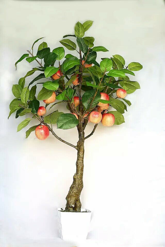 Искусственное растение Яблоня FG020