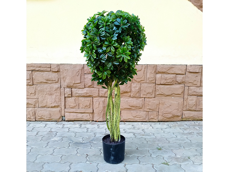 Искусственное растение Pittisporum 135 