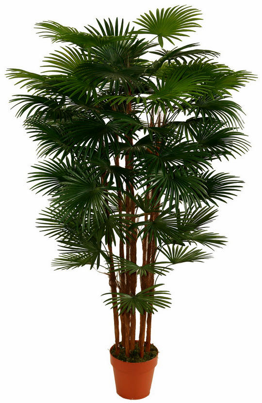 Искусственное растение Пальма Вашингтония 