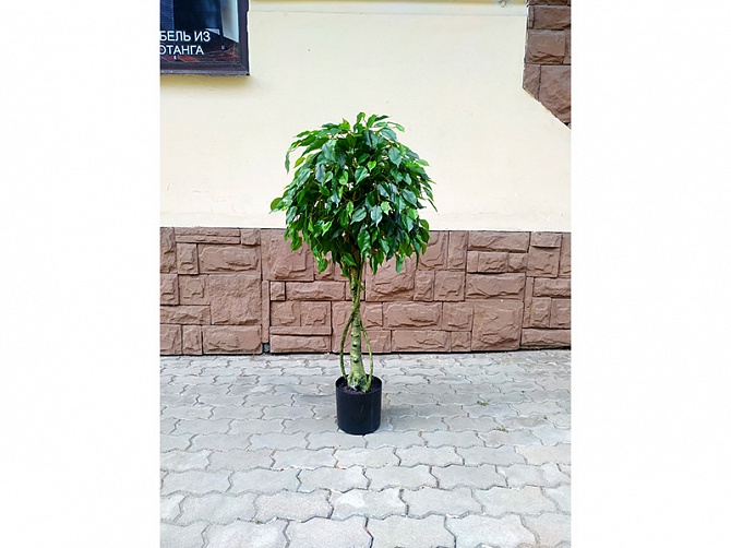 Аренда искусственного растения Ficus 120