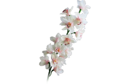 Искусственный цветок Орхидея светло-розовая