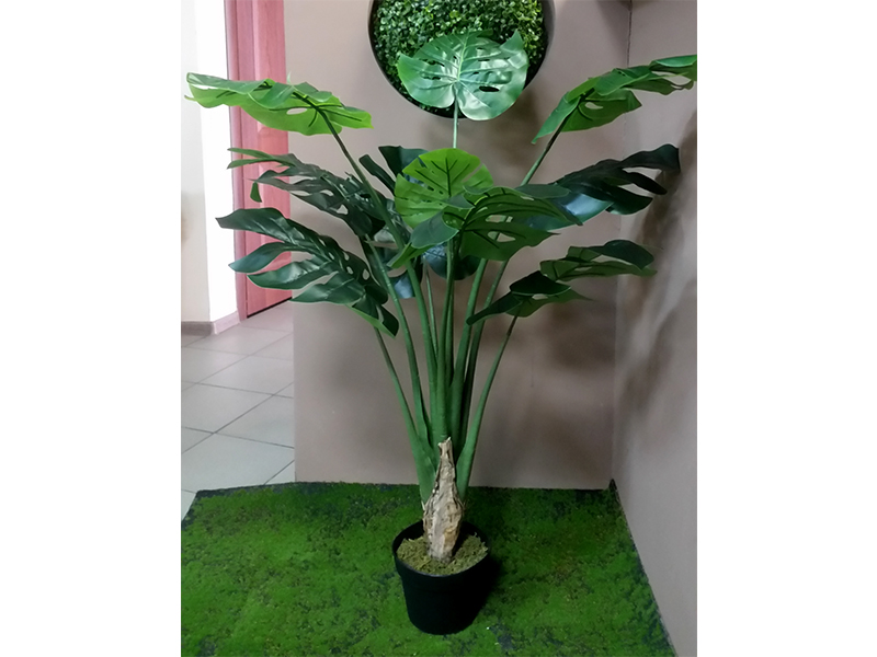 Искусственное растение Монстера тропическая 110 