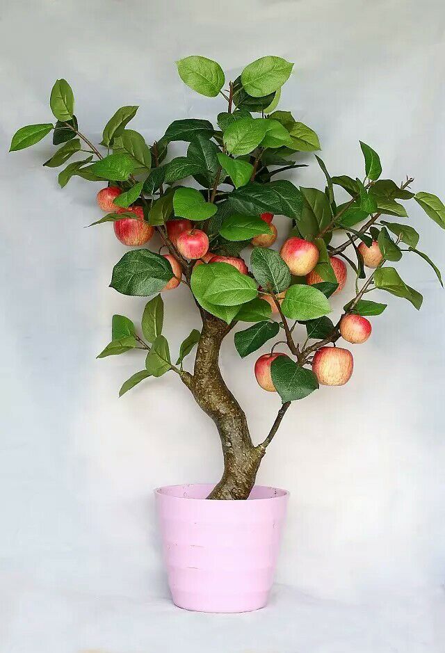 Искусственное растение Яблоня FG019