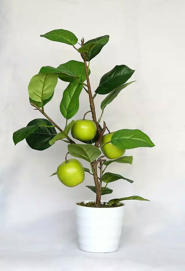 Искусственное растение Яблоня зеленая FG021