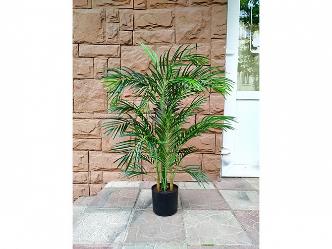 Аренда искусственного растения Areca Palm 105