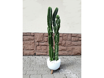 Искусственное растение Кактус 120 cm. (HF-3093) в белом горшке