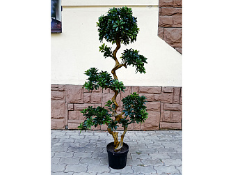 Искусственное растение Pittisporum Bonsai 150 