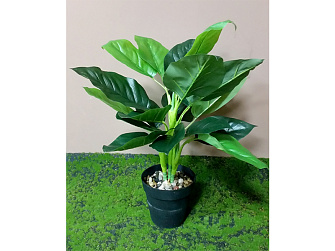 Искусственное растение Калатея шафранная 45 