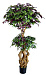 Искусственное дерево Рускус FG020