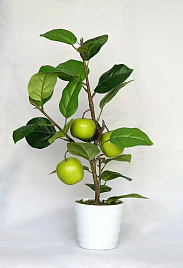 Искусственное растение Яблоня зеленая FG021