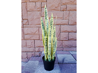 Икусственное растение Сансевиерия (Щучий хвост) 80см