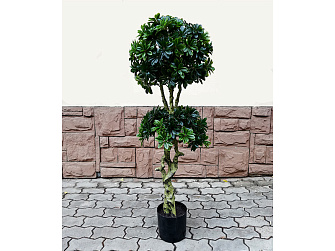 Искусственное растение Pittisporum Double 137