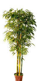 Искусственное растение Бамбук обыкновенный