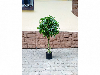 Аренда искусственного растения Ficus 120