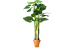 Искусственное растение Эпипремнум