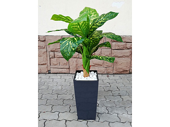 Искусственное растение Диффенбахия пестролистная 100 см (737-7) в сером горшке