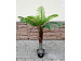 Искусственное растение Palm Hawaii Tree 120 cm.