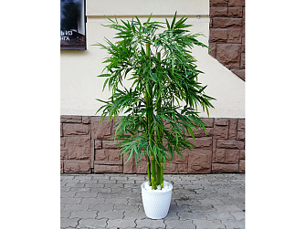 Искусственное растение Бамбук кустарниковый 150