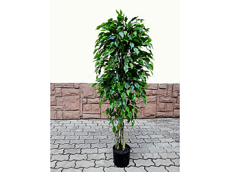 Искусственное растение Ficus Benjamin Natural 150