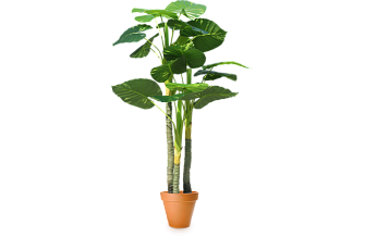 Искусственное растение Эпипремнум