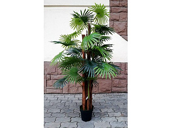 Искусственное растение Пальма Вашингтония 160 