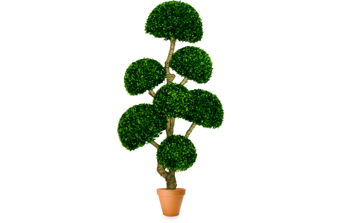 Искусственное растение Самшит с семью шапками 