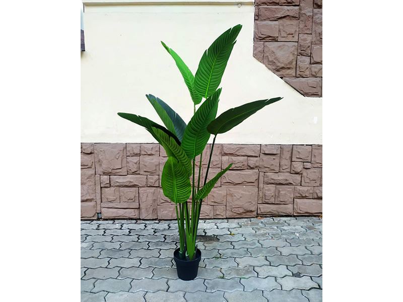 Икусственное растение Cтрелиция 150 FG-804216