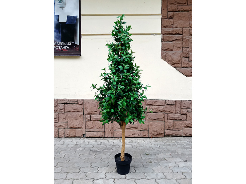 Искусственное растение Лавр 180