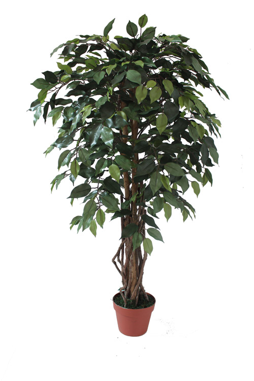 Искусственное растение Фикус бенджамина FG01